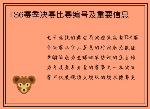 TS6赛季决赛比赛编号及重要信息