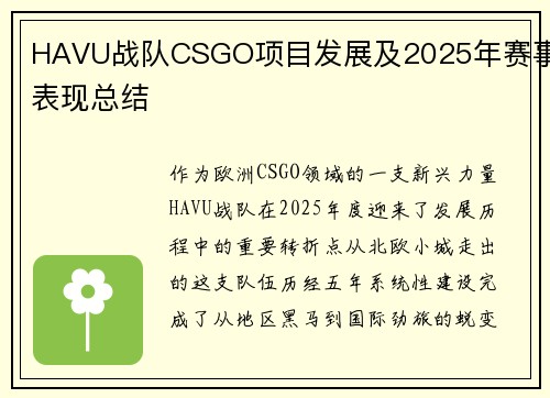 HAVU战队CSGO项目发展及2025年赛事表现总结